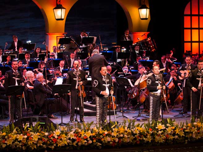 Show en vivo, grupo musical